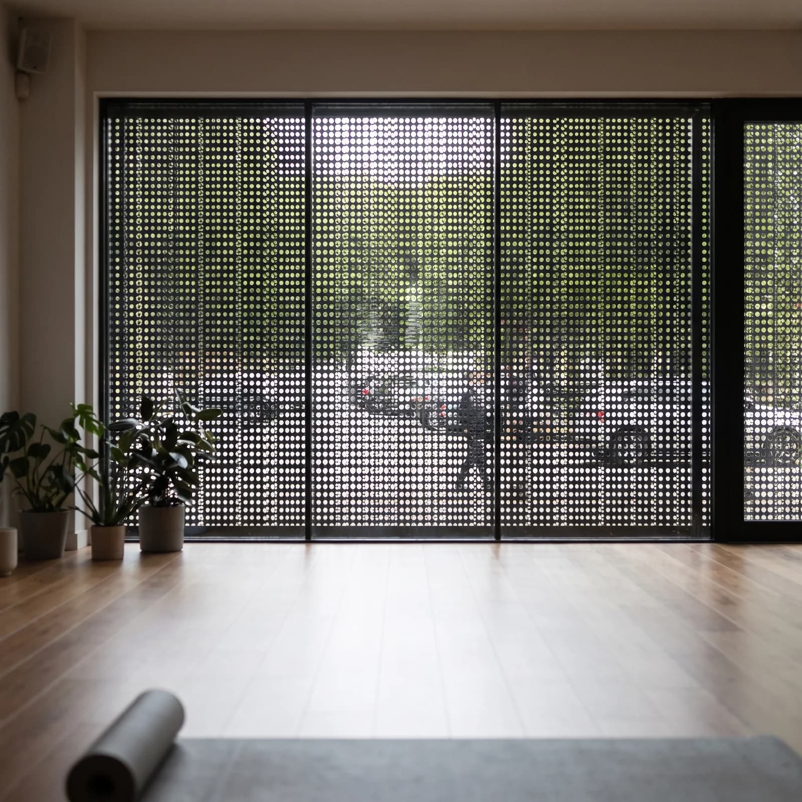 Looking out from inside a room through perforated window film, with plants and the street still visible through the holes