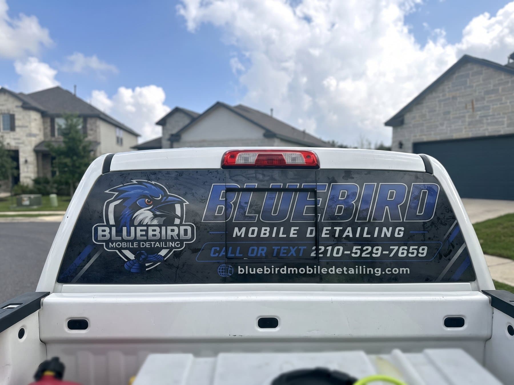 Perforated rear window graphic for BlueBird Mobile Detailing on a white work truck, the bird mark, the name, the phone number and the website reading as a solid panel from behind